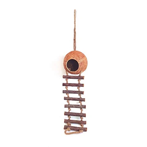Rainforest Bowls Coconut Birdhouse - Handcrafted Nesting House for Small Birds, 4.3-5"