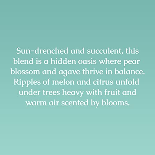Caldrea Scented Candle - Essential Oils, 45 Hour Burn, Pear Blossom Agave - 8.1 Oz (Pack of 2) - Image 3