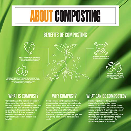 BioBag Compostable Produce Bags - Certified Compostable, GMO-Free, 3200 Bags, 11x17 - Image 4