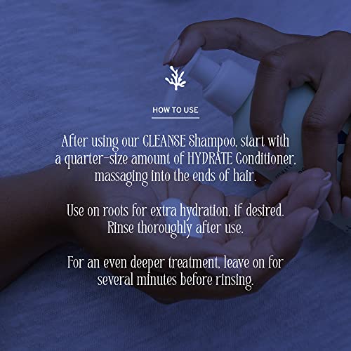 Captain Blankenship Hydrate Conditioner - Moisturizes & Softens, Organic Ingredients - 10 Fl Oz - Image 2