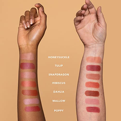Ethique Dahlia Satin Matte Lipstick - Nourishing Terracotta Brown, Vegan, Cruelty-Free - 0.28 oz - Image 7