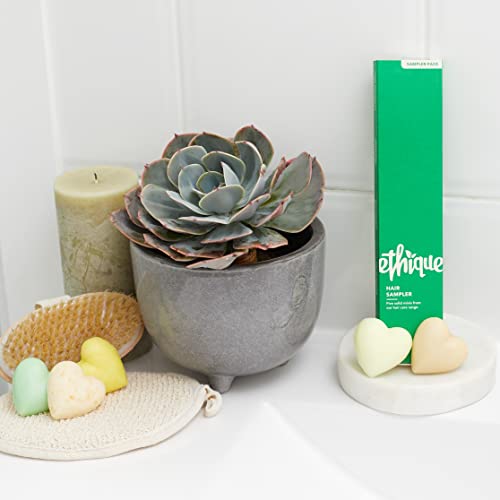Ethique Hair Sampler - Vegan Shampoo & Conditioner Bars, Plastic-Free Travel Set - 5 Mini Bars - Image 6