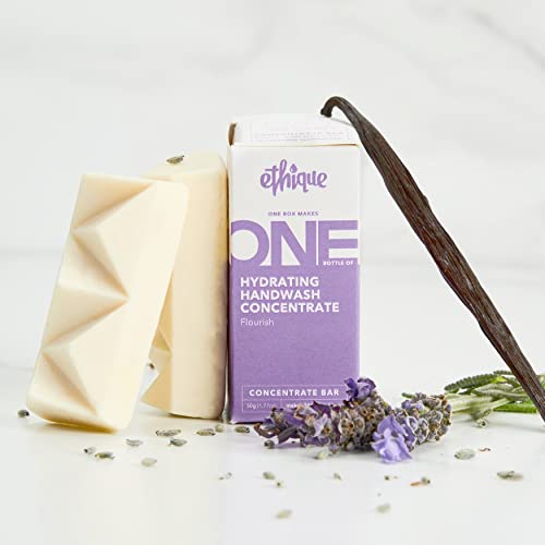 Ethique Hand Wash Concentrate - Hydrating, Lavender Vanilla Scent, Compostable - 11.83 fl oz - Image 4