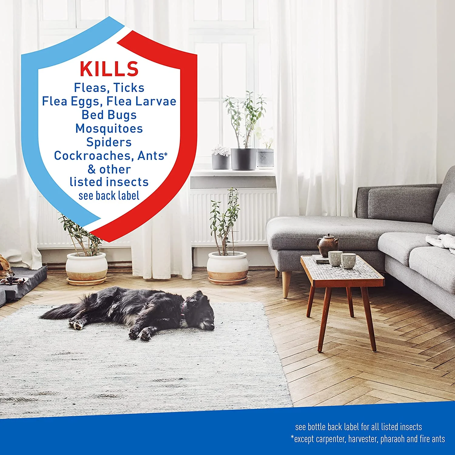 Adams Bug Repellent - Fast-Acting Flea & Tick Control, 7-Month Home Defense - 24 Fl Oz - Image 2