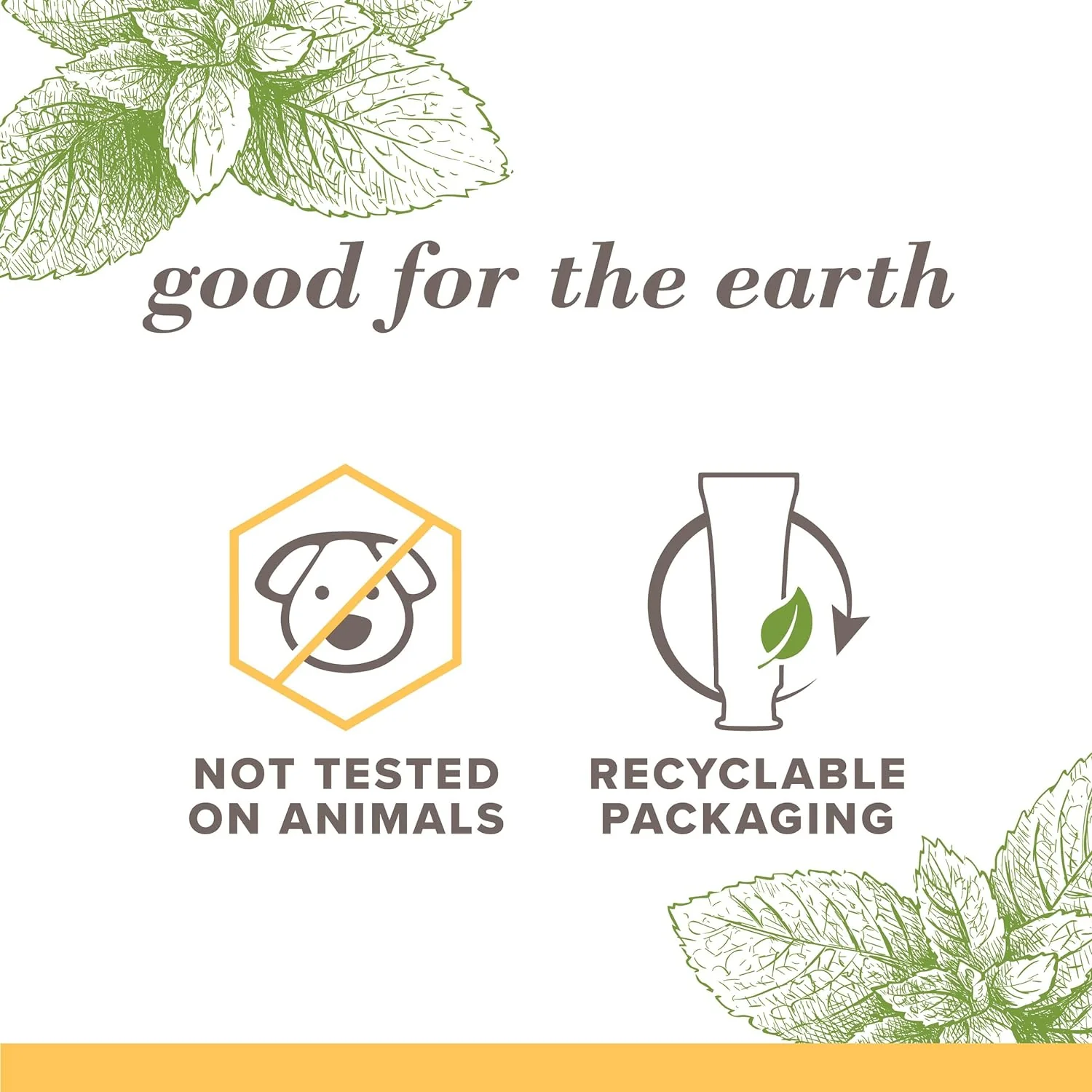 Burt's Bees Fluoride-Free Toothpaste - Zen Peppermint, Stain Removal, 4.7oz - Image 7