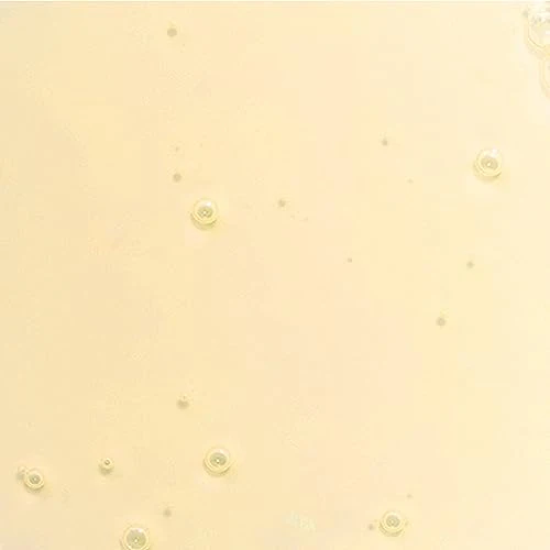 Derma E Hair Oil - Nourishing Scalp Treatment, Anti-Frizz & Breakage, 100% Vegan - 1 fl oz - Image 8