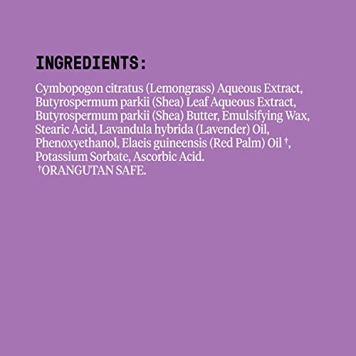 Alaffia Kids Shampoo & Body Wash Set - Nourishing, Natural Lemon Lavender - 16oz Each - Image 5