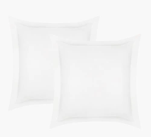 Delara Eucalyptus Lyocell Euro Sham - Naturally Cooling, Soft & Breathable - Pack of 2 (26"x26")
