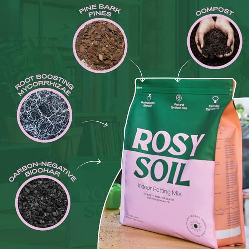 Rosy Soil Cactus & Succulent Mix - Thriving Growth, Microbial Support - 4qt & 8qt Sizes - Image 2