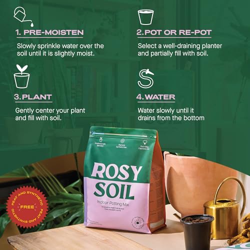 Rosy Soil Cactus & Succulent Mix - Thriving Growth, Microbial Support - 4qt & 8qt Sizes - Image 3