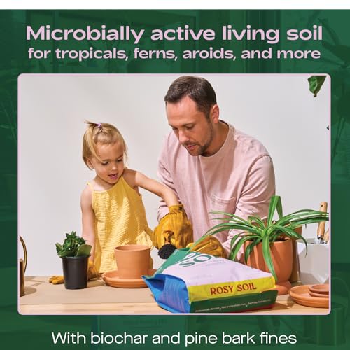 Rosy Soil Cactus & Succulent Mix - Thriving Growth, Microbial Support - 4qt & 8qt Sizes - Image 4