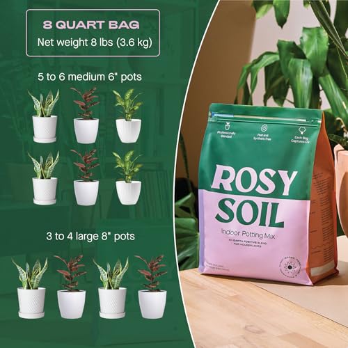 Rosy Soil Cactus & Succulent Mix - Thriving Growth, Microbial Support - 4qt & 8qt Sizes - Image 5