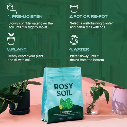 Rosy Soil Indoor Potting Soil - Boosts Plant Growth, Peat-Free, Biochar-Enriched - 4qt - Image 8