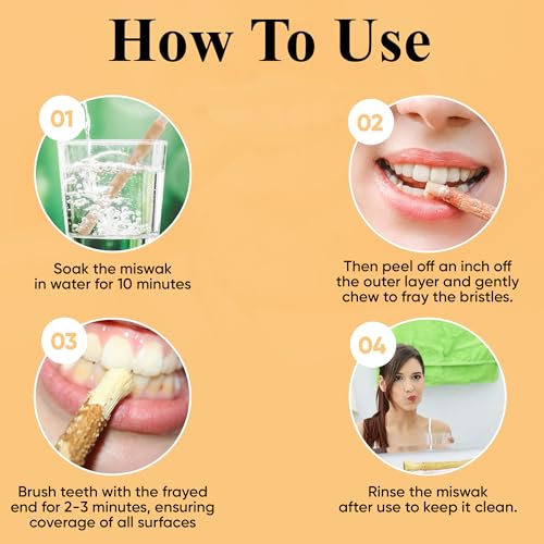 Sewak Al-Falah Miswak Toothbrush - Natural Cleaning, Soft Bristles, 10 Pack for Families - Image 2