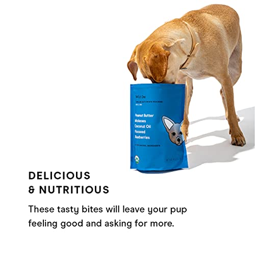 Wild One Dog Treats - Organic, Vegan, Crunchy Peanut Butter & Veggie Bites - 8oz Variety Pack - Image 4