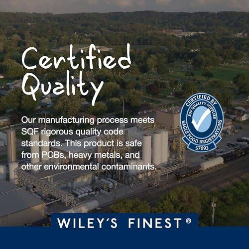 Wiley's Finest Vegan Omega-3 Gummies - 262mg Omega-3s, DHA from Algal Oil - Lemon Flavor, 60 Count - Image 2